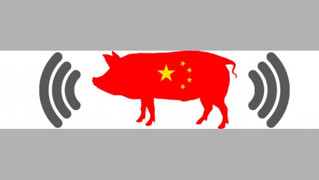 China and the challenge of precision pork production