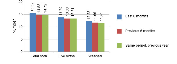 Number of live births, total piglets born and weaned piglets per litter