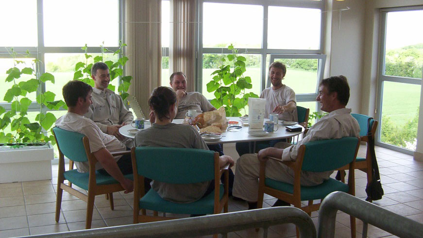 Daily meeting at lunch time to talk about what is happening on the farm today.