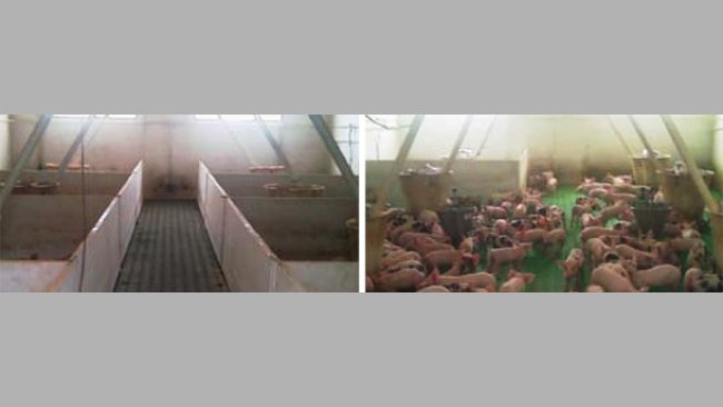 Open housing vs. conventional rooms