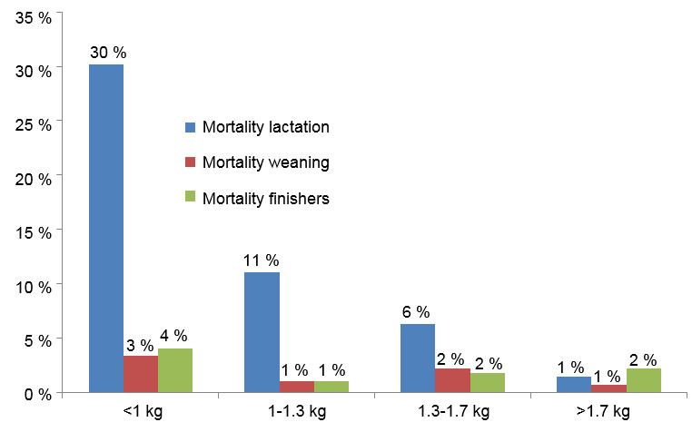Figure 1. Mortality in each birth weight group by stage of production.
