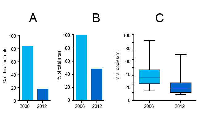 PCV2 viremia levels in 2006 and 2012