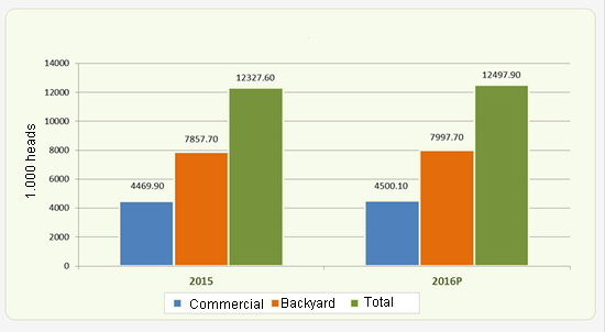 philippines swine inventory