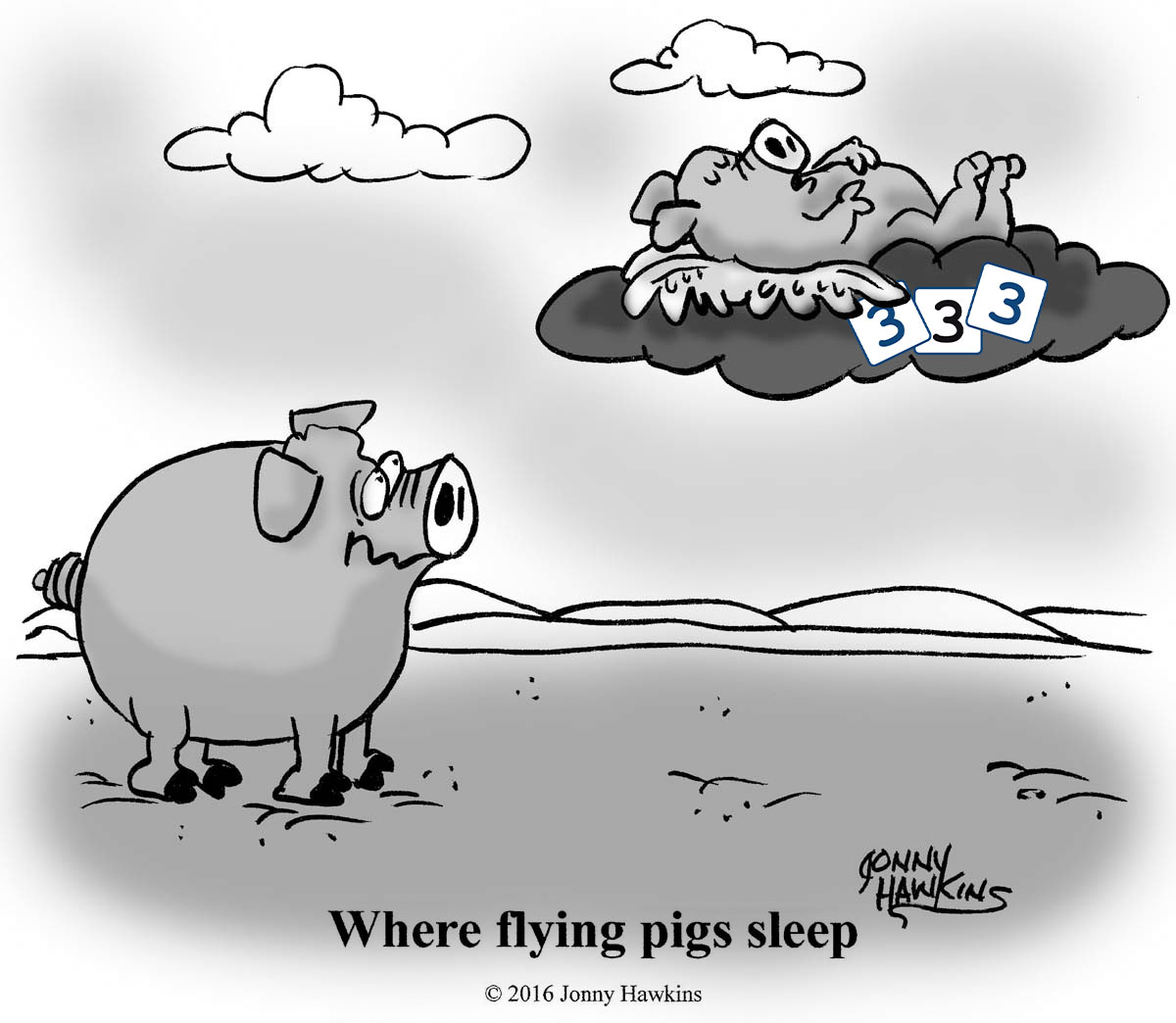 Where flying pigs sleep 1