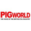 PigWorld.jpg