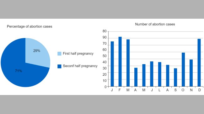 The pie chart represents the percentage of abortions in the first and second stage of pregnancy, respectively. The bar chart represents the seasonality of abortions.