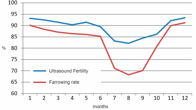 2015 monthly results for ultrasound fertility and farrowing rate.
