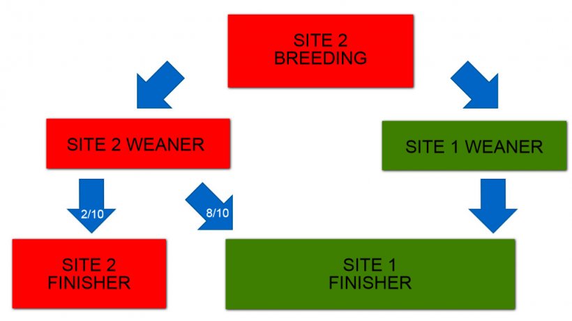 Figure 1:  Schematic illustration of two site production system pig flow.