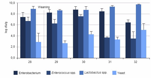 Average number of bacteria contained in piglets caeca at different stages after weaning

&nbsp;
