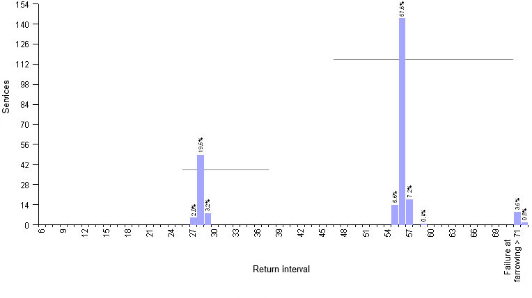 Graphic&nbsp;1.- Example of 4WBF farm:&nbsp;planning of return sow mating by use of hormones. Average return interval&nbsp;51,6 days
