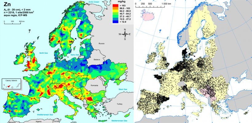 Left: Zinc in EU agricultural soils (Gemas 2014): Top soil zinc levels (top 20cm) in agricultural land in Europe (Taken from Reimann et al., 2014).

Right: EU sow herds (Eurostat, 2014).
