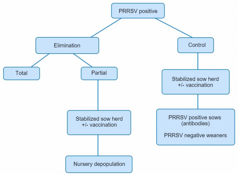 Figure 1. Schematic view of different approaches in PRRSV positive herds.
