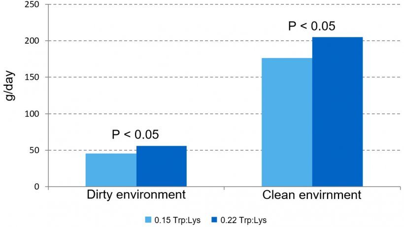 Figure 1 – Effect of dietary Trp:Lys ratio on growth rate in the prestarter phase in two different environments.