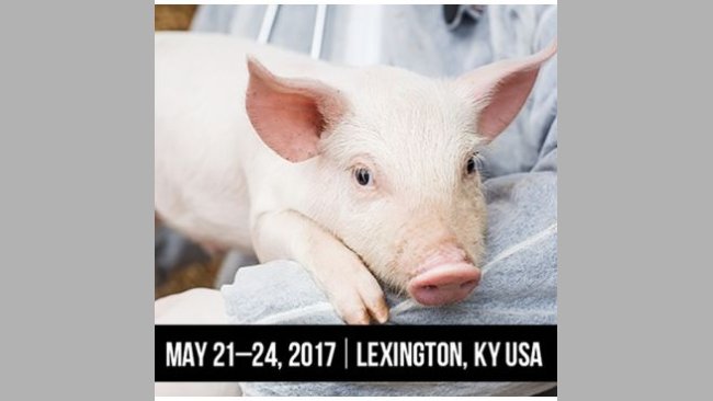 With topics covering nutrient delivery systems and remodeling pig barns to quantity versus quality efficiencies and global pork consumption, ONE: The Alltech Ideas Conference will give pork producers real-life solutions.
