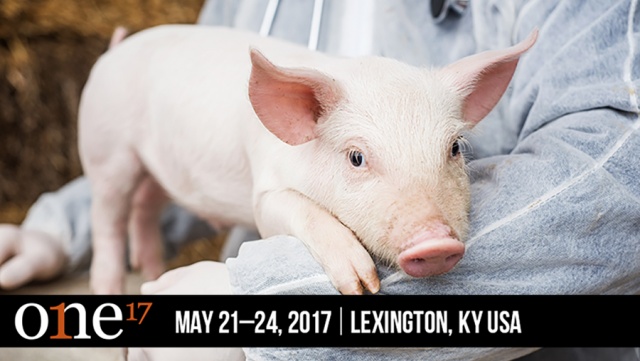 With topics covering nutrient delivery systems and remodeling pig barns to quantity versus quality efficiencies and global pork consumption, ONE: The Alltech Ideas Conference will give pork producers real-life solutions.
