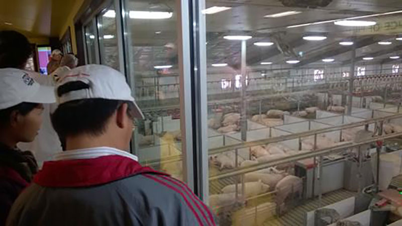 Pork professionals from around the world will have an opportunity to learn about Iowa agribusinesses and modern pork production during a pre-Expo tour on June 6. Participants of either of the two tour packages will receive free admission to the 2017 World Pork Expo, June 7-9.

