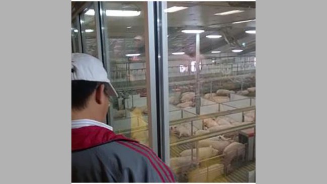 Pork professionals from around the world will have an opportunity to learn about Iowa agribusinesses and modern pork production during a pre-Expo tour on June 6. Participants of either of the two tour packages will receive free admission to the 2017 World Pork Expo, June 7-9.