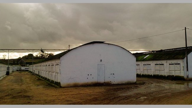 farm