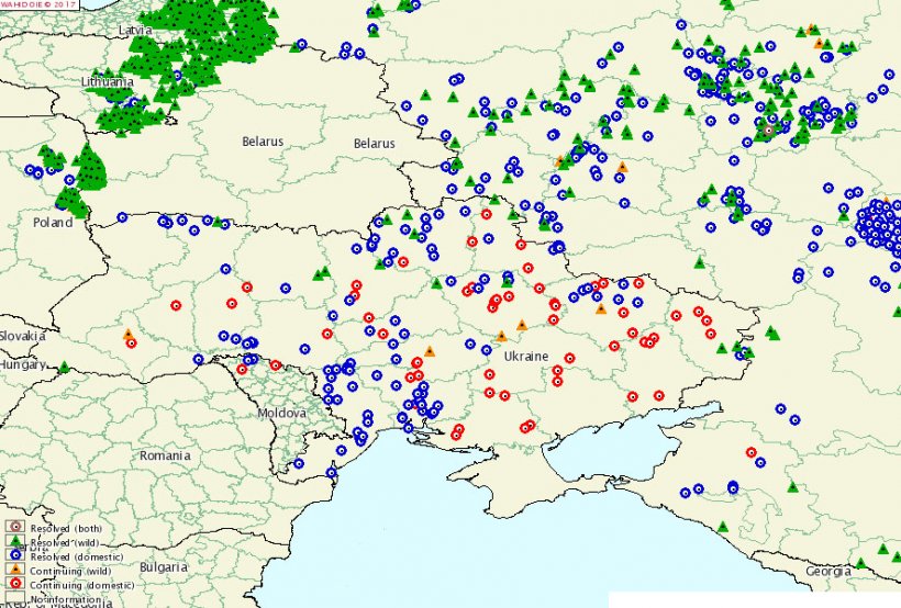 Areas affected by the ASF since 2014. Lviv is the only oblast without outbreaks of the disease.
