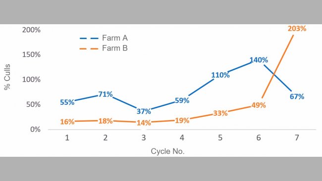 Graph&nbsp;1. Percentage of culled sows per cycle (number of sows culled per cycle/ average census per cycle) in 2016
