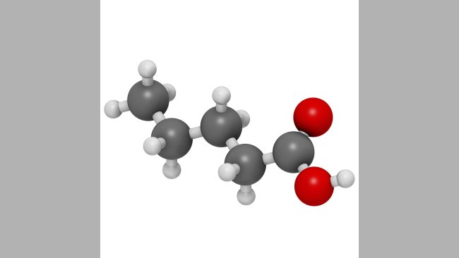 Valeric acid is one of the important organic acids.