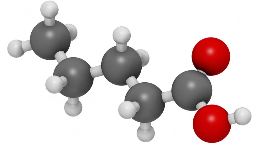 Valeric acid is one of the important organic acids.
