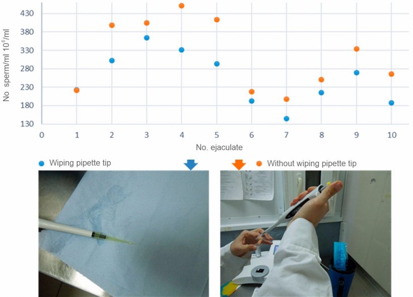 Figure 3. Comparison of sperm concentration between pipettes with wiped tips and non-wiped tips&nbsp;
