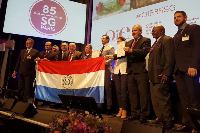 Paraguay free of foot-and-mouth disease and csf&nbsp;1
