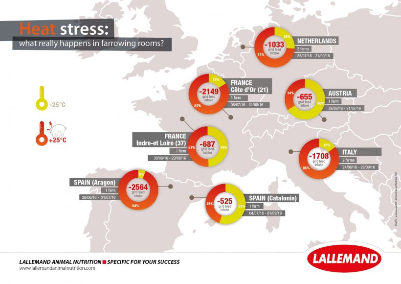 Survey of heat stress risks in farrowing rooms in Europe. Average daily percentage of time spent above 25&deg;C (significant heat stress) and estimation of the associated feed intake reduction (Lallemand Animal Nutrition internal data, 2016).
