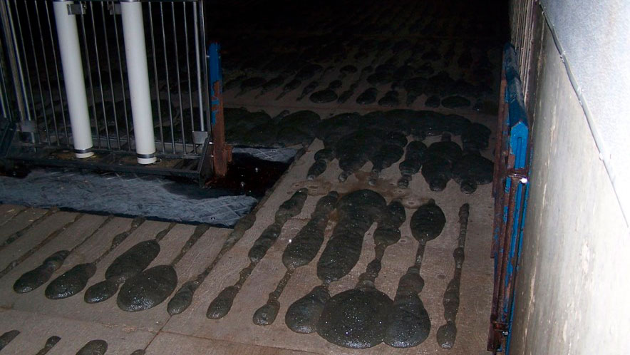 Foaming of slurry pits
