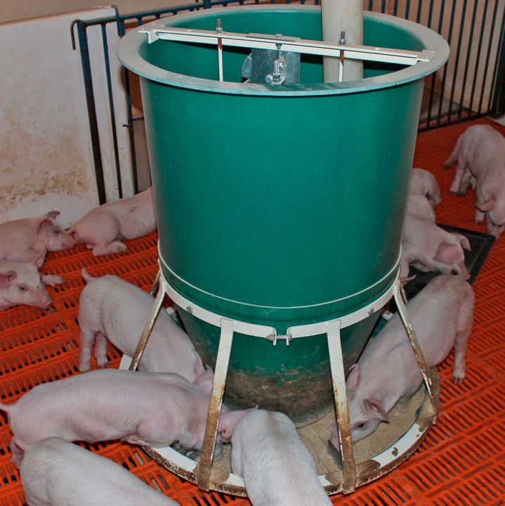 Page 70 Of Company News Company News Pig333 Pig To Pork Community