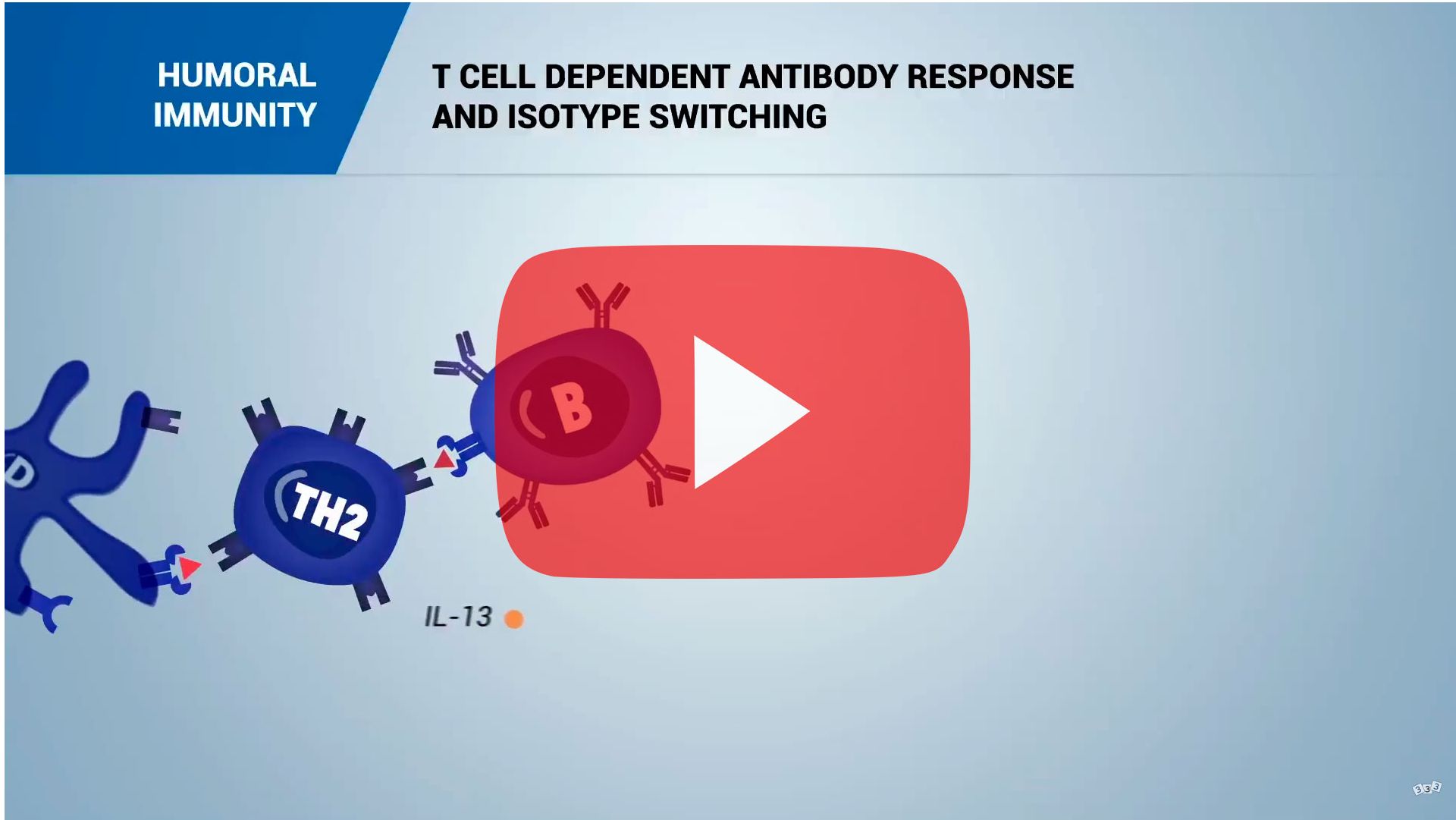 Specific humoral immunity response