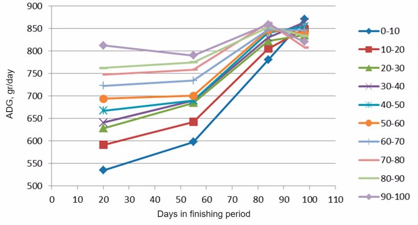 Figure 7. ADG evolution based on the initial weights (each 10%). At the end of the finishing period all the pigs end up having a similar ADG, however the biggest ones reach the maximum much earlier.
