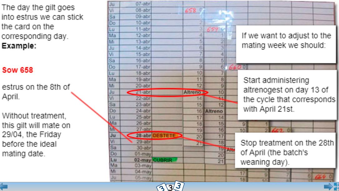 Replacement and altrenogest
