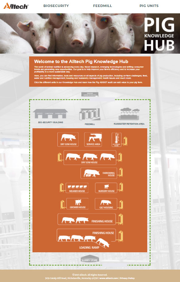 Alltech’s Pig Knowledge Hub