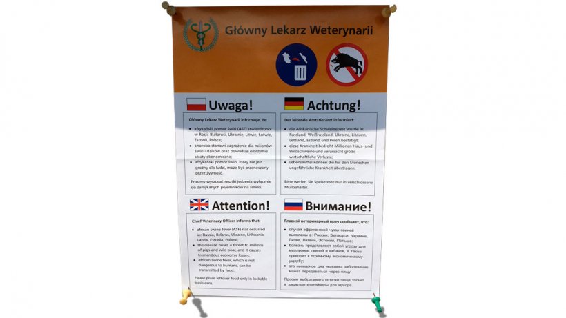 Message in Poland warning of the threat entailed by wild boars for the spreading of ASF. There is danger regarding the spreading of ASF to the rest of Europe.
