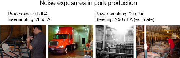 Noise exposures in pork production