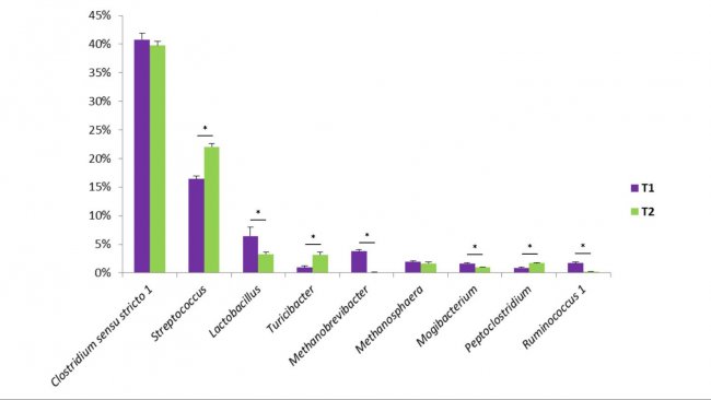 Figure 1. Some bacterial genera found in swine faeces. T1 is the control. T2 is a group treated with a mix of Bacillus in the feed.