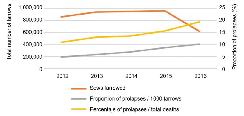 Fig 1. Total number of farrowings in the analysis and proportion of sow prolapses over time over 1000 farrows or over the total number of deaths in the farms.
