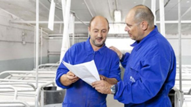 Greater gains with less labor