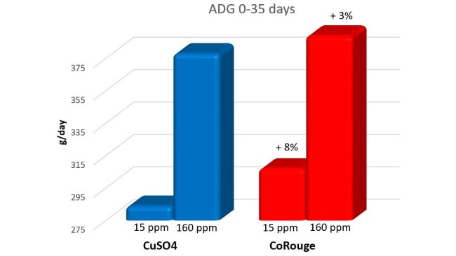 Effect of Cu supplementation at 15 and 160 mg/kg on piglet weight gain