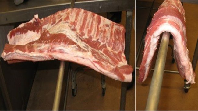 Figure 1. Pork belly from feeding a corn-soybean meal diet (left). Pork belly from feeding a 30% high-oil DDGS diet (right).

