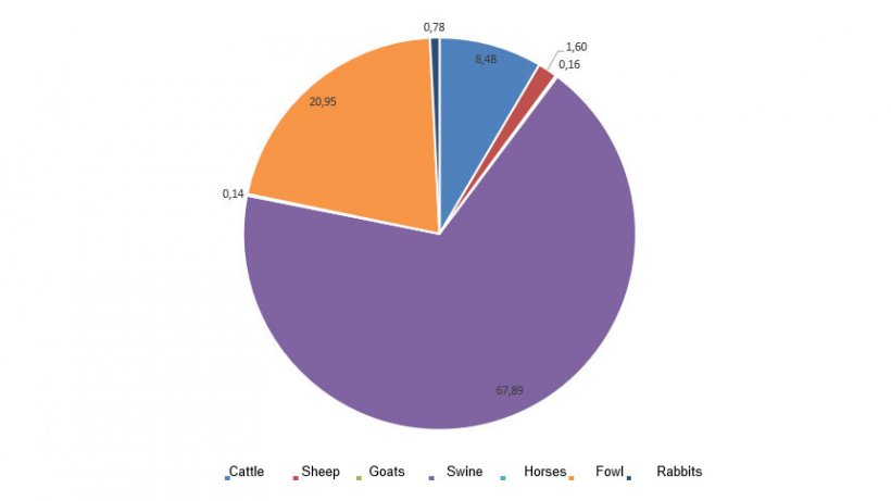 Importance of the different categories within the total meat production
