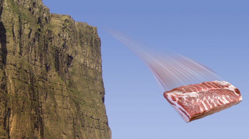 This Thrill Is Gone As Pork Bellies Fall Off The Cliff Articles Pig333 Pig To Pork Community