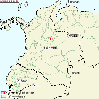 <p>Foot-and-mouth disease Colombia</p>
