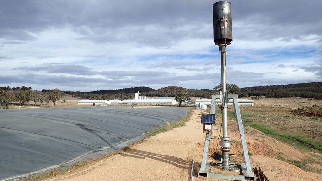 Covered anaerobic pond at a 20,000 standard pig unit grow-out piggery in New South Wales.