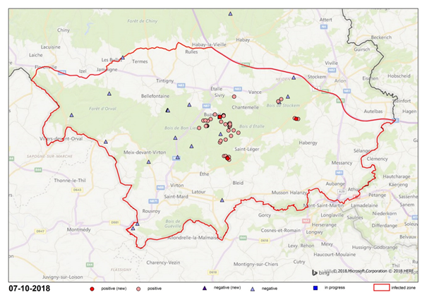 Delimitation of the infected area (IA) established in the south of Belgium and location of the positive and negative results obtained from the wild boars tested (source: AFSCA, on October 7th, 2018)
