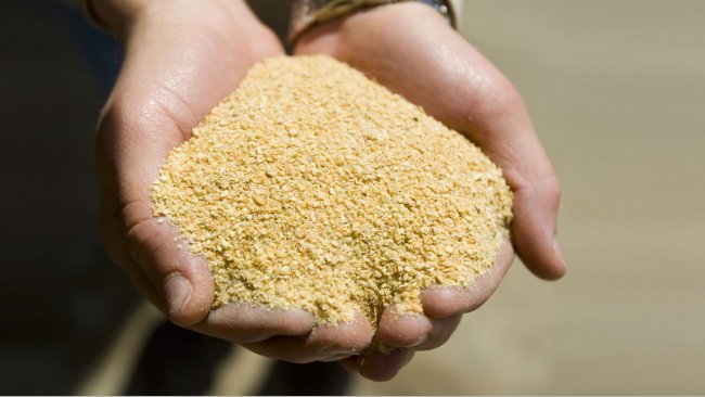 Soybean meal. United Soybean Board