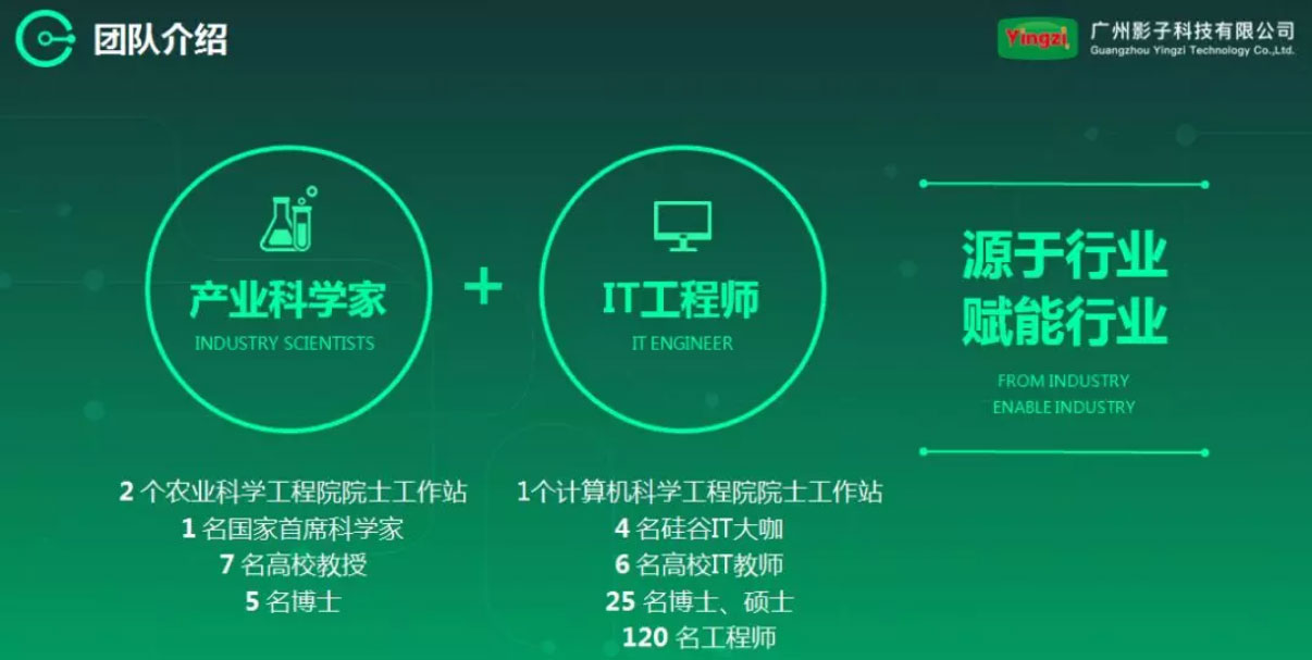 Yingzi