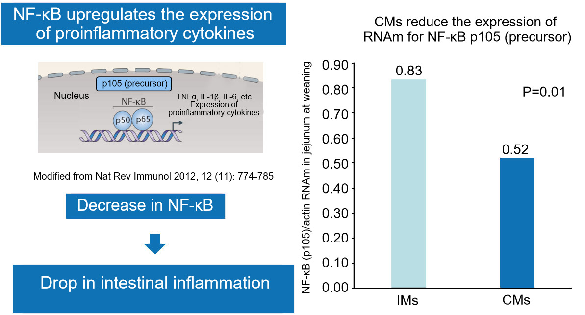 Epigenetics in sows: the role of trace elements in the offspring